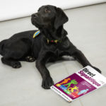 Parrainage d'un chien guide d'aveugle #DirectEnsemble